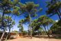 Puntala Camping Resort - Castiglione della Pescaia Toscana