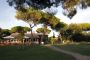 Pineta Residence - Albinia Toscana