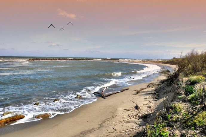 Spiaggia del Gombo con dune, macchia mediterranea e onde del Tirreno in area protetta