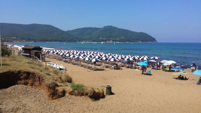 Spiaggia di Baratti con sabbia dorata, ombrelloni e pineta affacciata sul mare