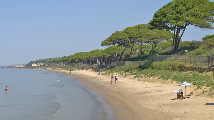 Spiaggia di Pratoranieri con mare calmo, sabbia dorata, pineta e pochi bagnanti sotto ombrelloni.