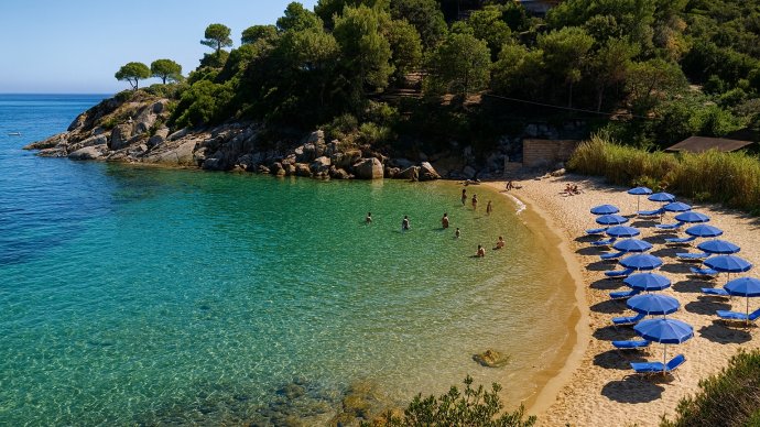 Caletta Le Caldane al Giglio: sabbia dorata, mare turchese e file di ombrelloni blu.