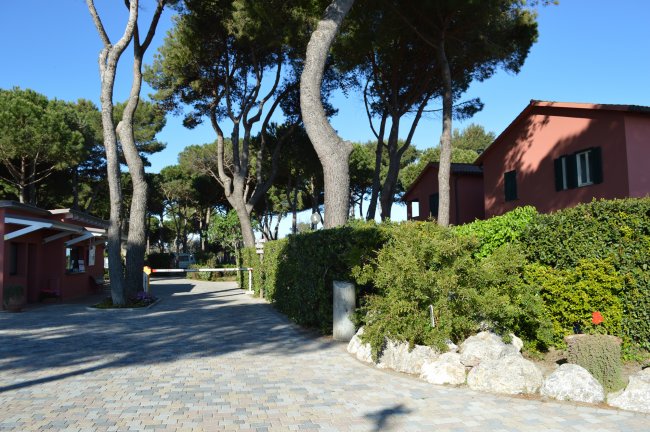 Strada alberata con case dai muri rossi.