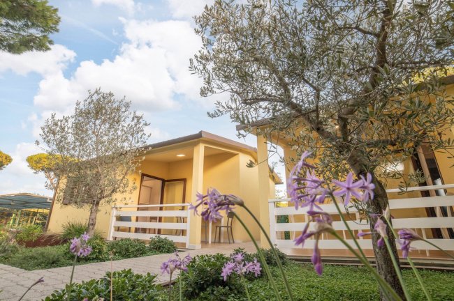 Hawaii Camping Internazionale