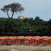 Spiaggia con ombrelloni arancioni, alberi sullo sfondo e un edificio in lontananza.